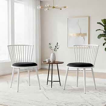 Solimo Iron Chair with Cushioned Seat, Set Of 2 @2904.