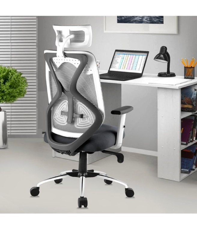 ASTRIDE Ergofit Ergonomic Office Chair @3,254
