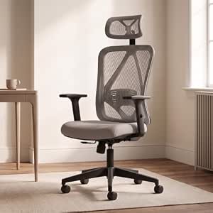 Ergonomic Office Chair For ₹5298
