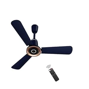 BLDC Ceiling Fan
