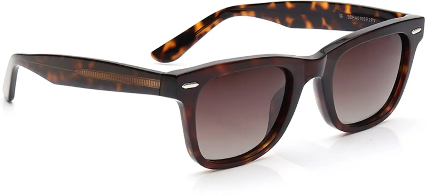 Titan Retro Square Sunglasses